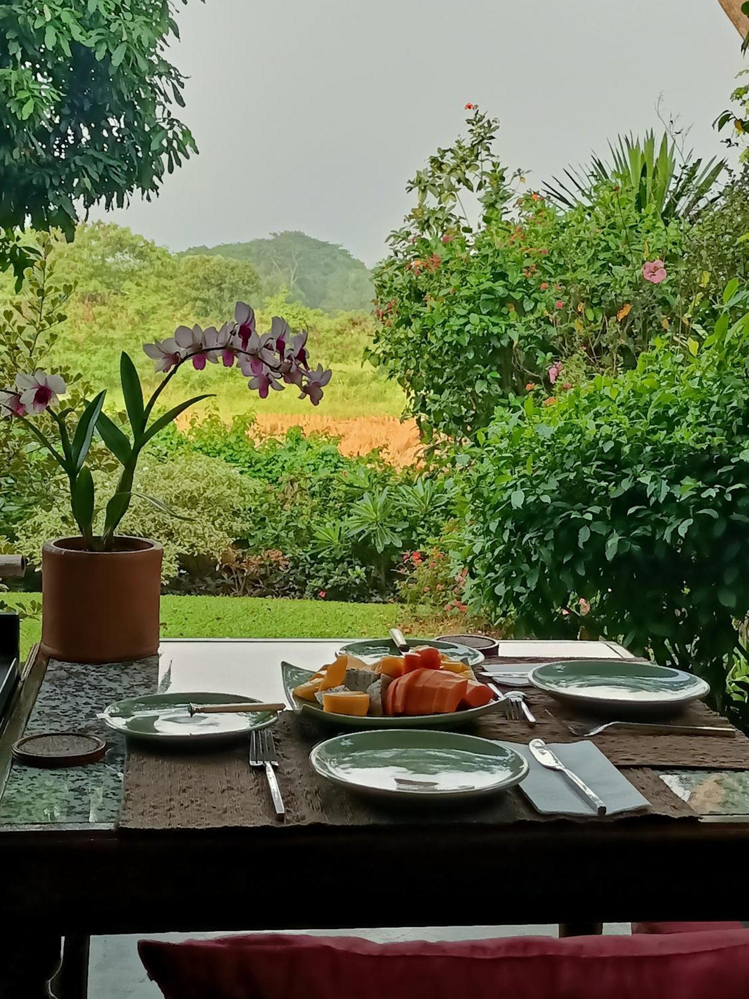 دوي ساكيت Villa Albizia, Chiang Mai المظهر الخارجي الصورة