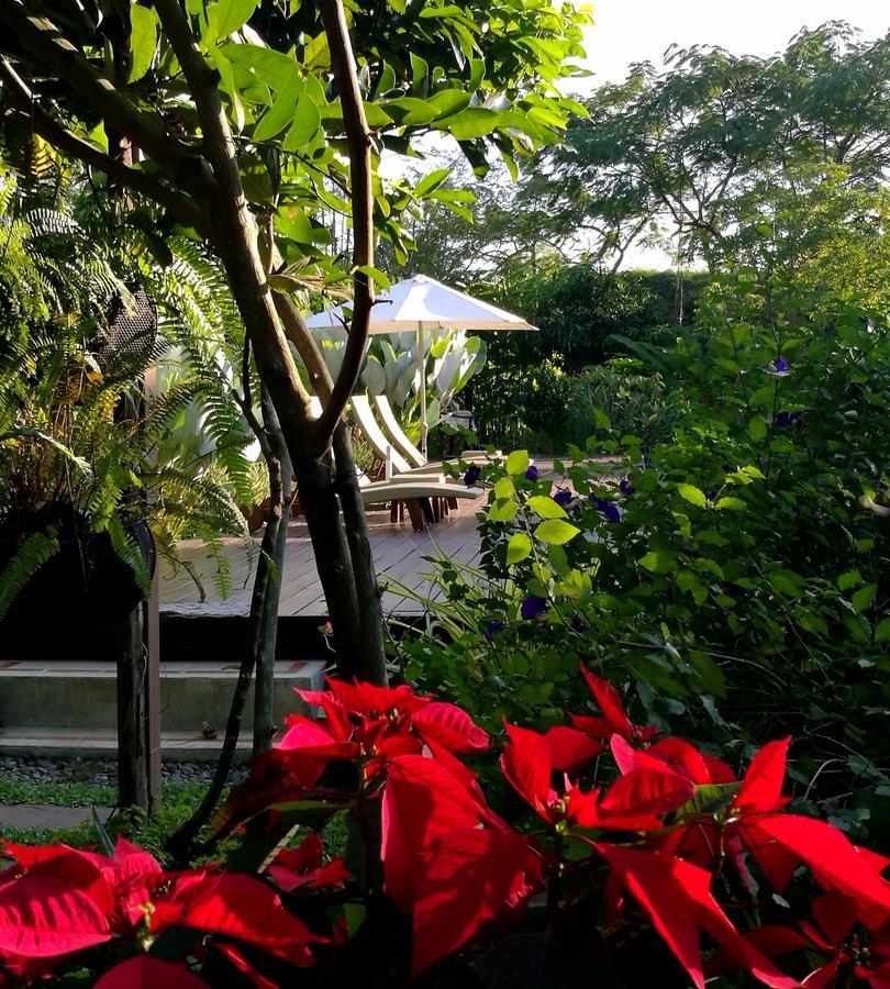 دوي ساكيت Villa Albizia, Chiang Mai المظهر الخارجي الصورة