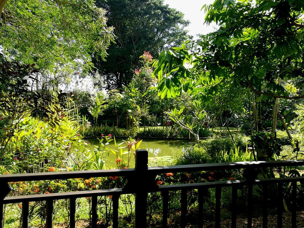 دوي ساكيت Villa Albizia, Chiang Mai المظهر الخارجي الصورة